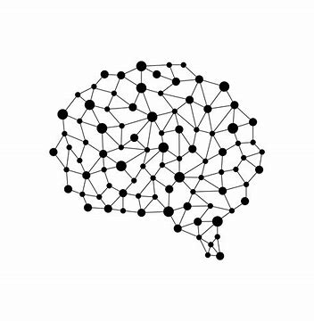 Models of the Brain
