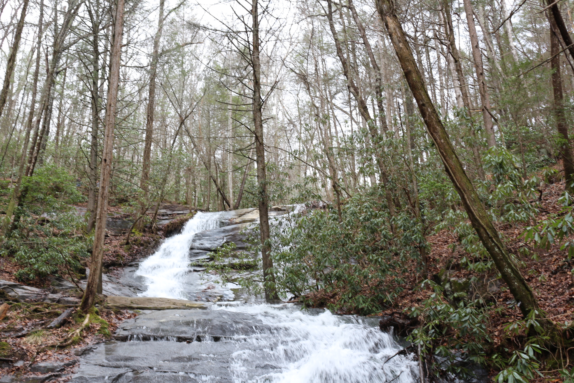 Nature